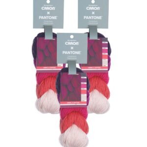 Caron x Pantone Yarn 3 Bundle