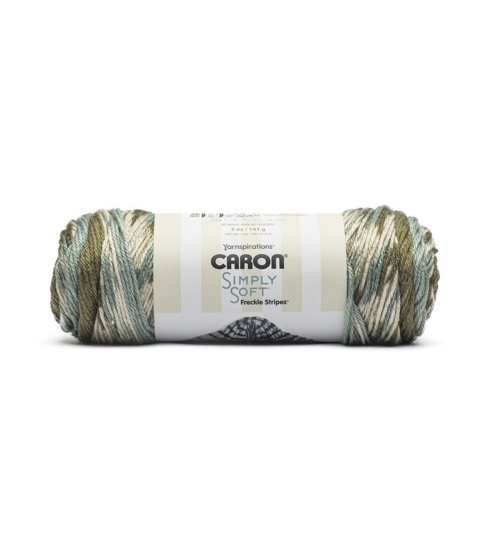 Caron Simply Soft Freckles Stripe 315yds Worsted Acrylic Yarn
