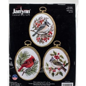 Janlynn 3 x 4 Winter Birds Embroidery Kit 3ct