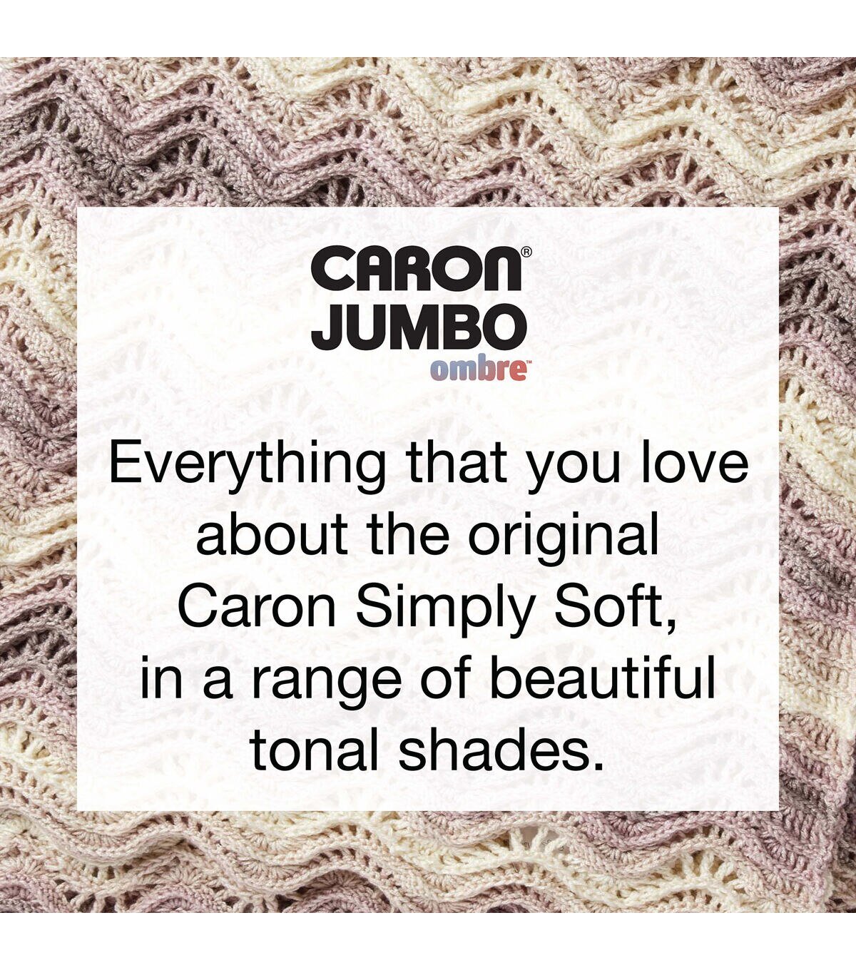 Caron Simply Soft Ombres 235yds Worsted Acrylic Yarn - Image 3